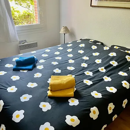 T2 St Martin Du Touch * Tolosa