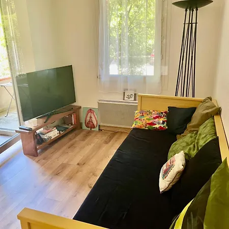 T2 St Martin Du Touch Toulouse